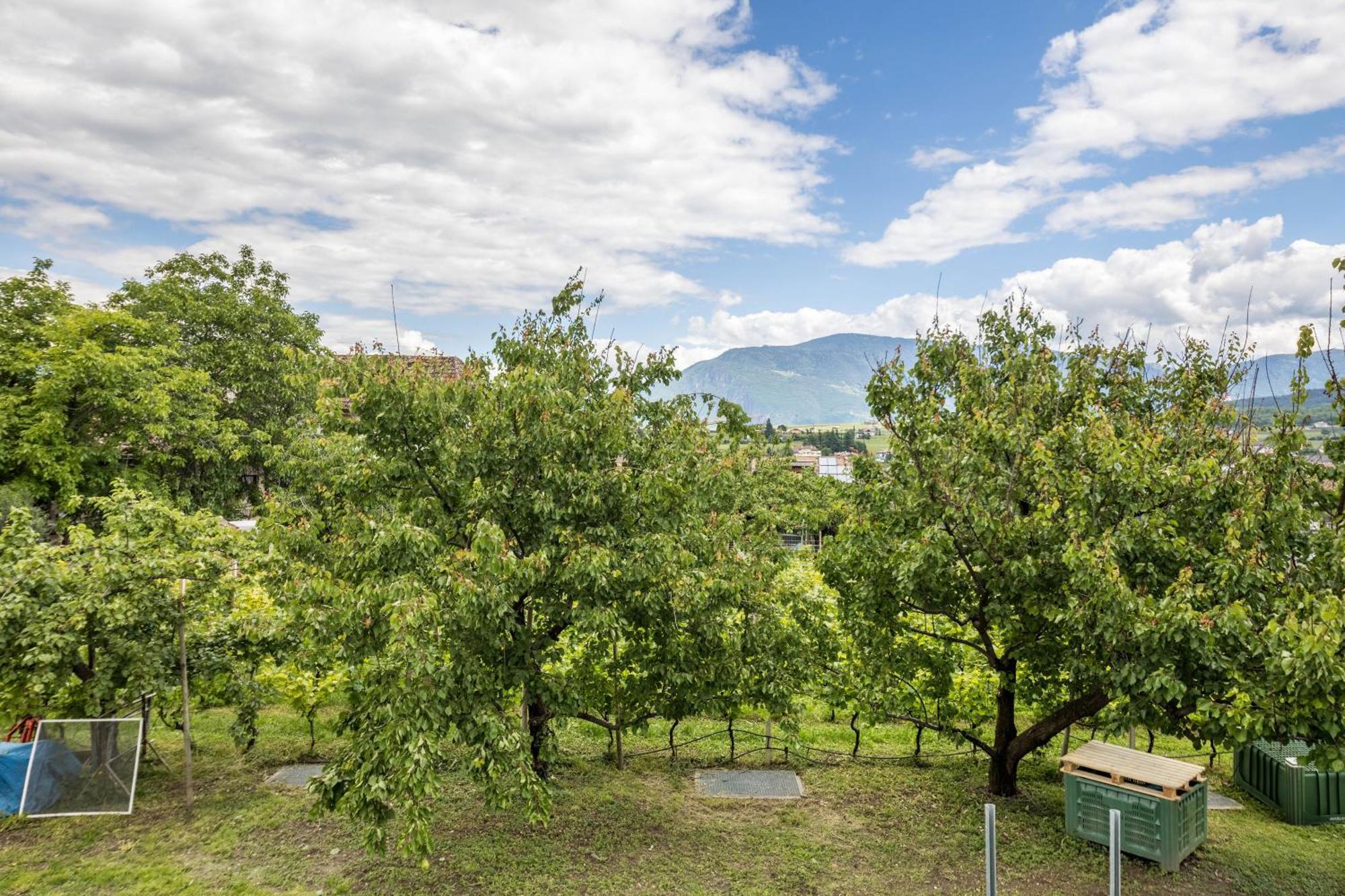 Angerblick Apartment Appiano Sulla Strada Del Vino Εξωτερικό φωτογραφία