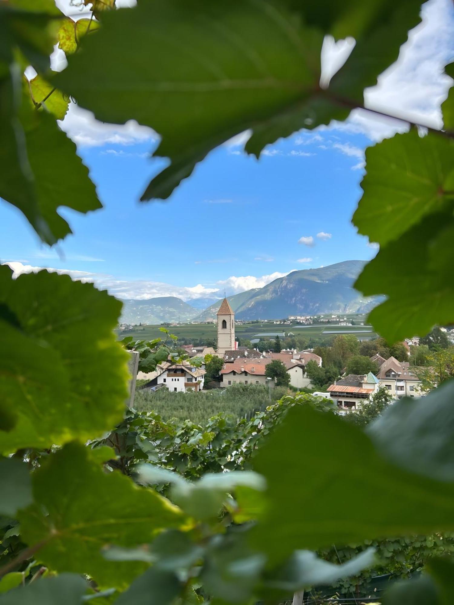 Angerblick Apartment Appiano Sulla Strada Del Vino Εξωτερικό φωτογραφία